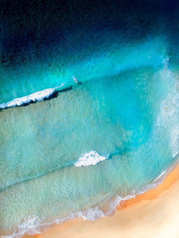 A lone surfer in the waves near the beach