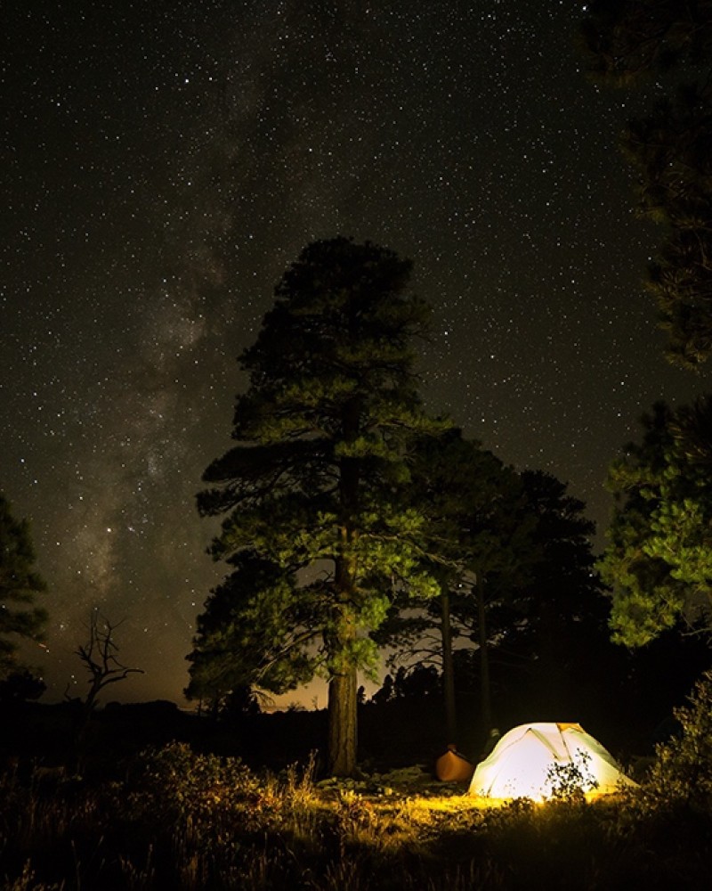 A bright lit tent in the forest with the night sky and stars above