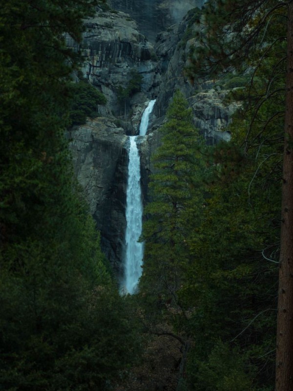 A waterfall in the forest